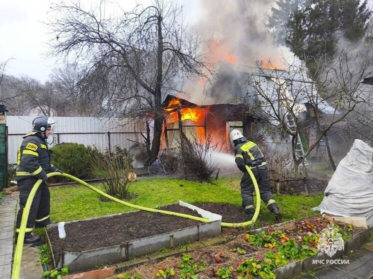 В Алексине потушен пожар в садовом товариществе «Урожайное»