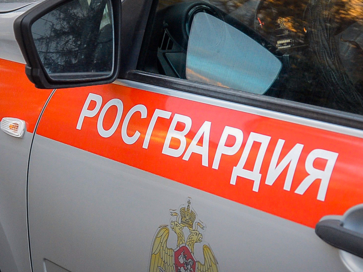 Пензенские росгвардейцы задержали дебошира в Октябрьском районе