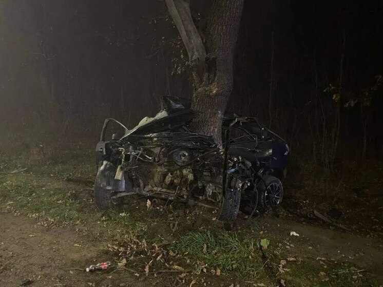 В ДТП с наездом на дерево в Северском районе погиб молодой водитель