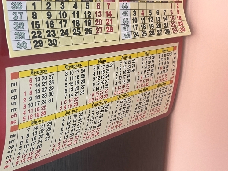 В ДНР установили единый день перечисления ежемесячной денежной выплаты для ветеранов боевых действий