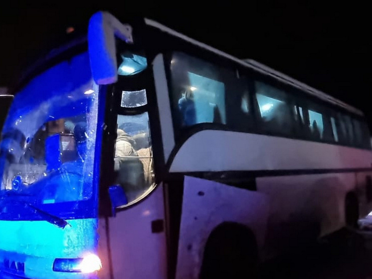 Пять пассажиров рейсового автобуса пострадали в ДТП под Воронежем