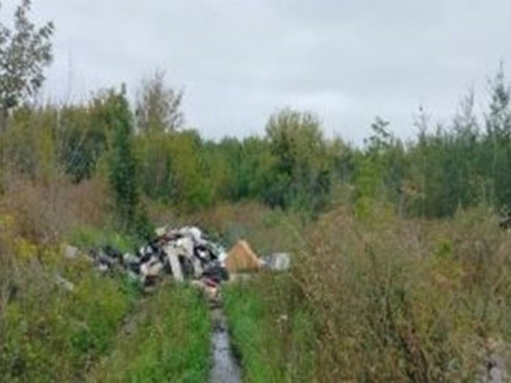 Курскому землевладельцу предписано ликвидировать свалки и сорняки на 17 гектарах