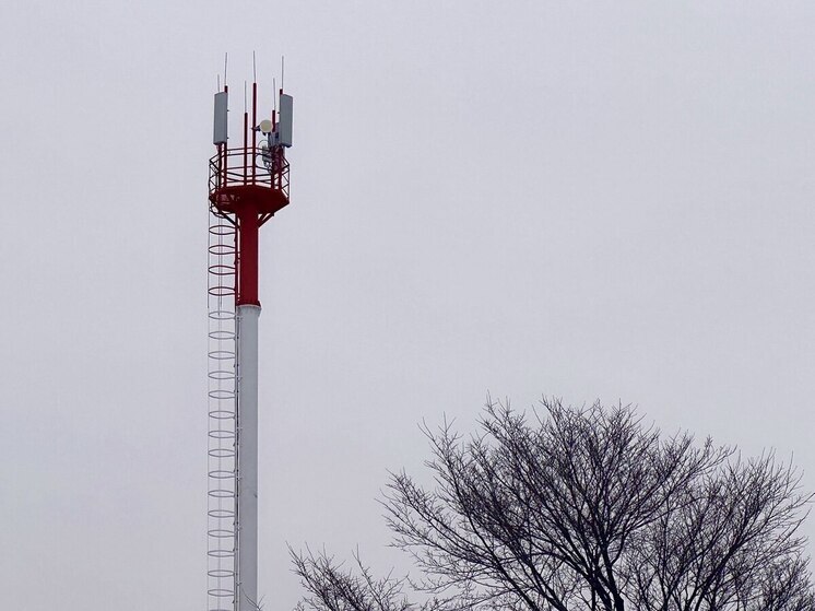 Кия, Павленково и База Дрофа получили доступ к 4G