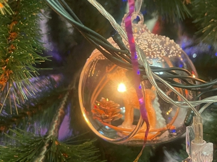 Новогодняя елка во дворе для жителей Ростовской области может обернуться крупным штрафом