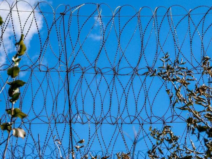 В Пласте осудили браконьеров за убийство пяти сибирских косуль