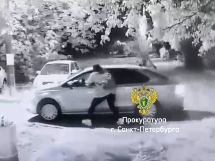 Петербуржец попросил помочь с маршрутом и выхватил у доброй женщины телефон