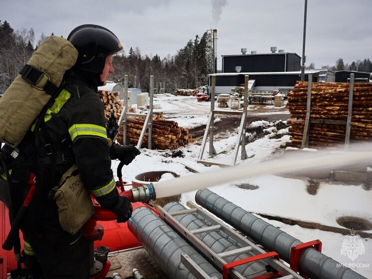 Великолучанин погиб при пожаре на Нелидовском проезде