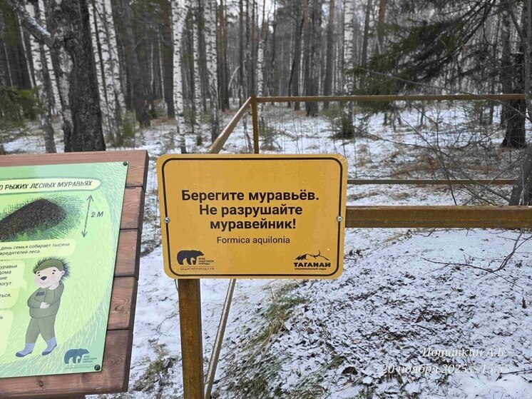 На Таганае защитили редких муравьев