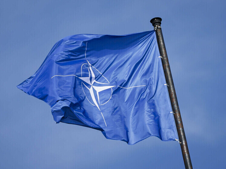 На Западе заявили об ошибочном суждении вступления Украины в НАТО