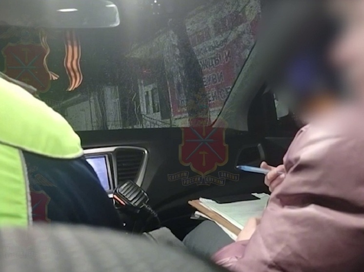 В Дубне пьяная автоледи попыталась дать взятку инспекторам ДПС