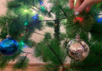 В Омске большинство жителей планируют встретить Новый год в семейном кругу