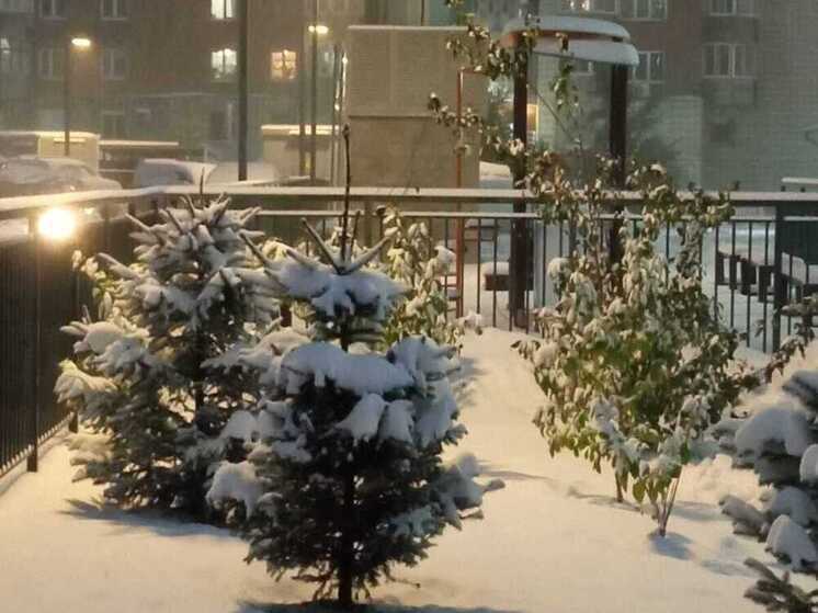 Новосибирск ожидает резкое похолодание до -27 градусов