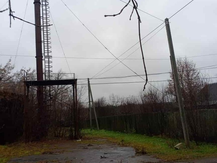 В селе Лема бесхозная 25-метровая вышка грозит обрушением на жилые дома