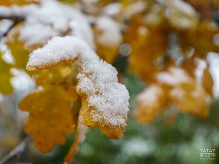 Татарстанцам обещают снег не раньше середины декабря