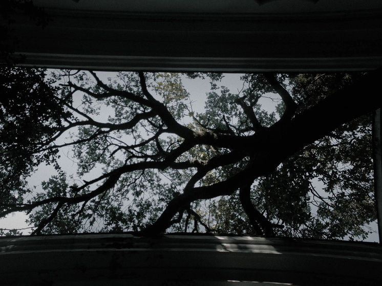 В Омске задерживается обустройство кладбища на 7-й Москаленской