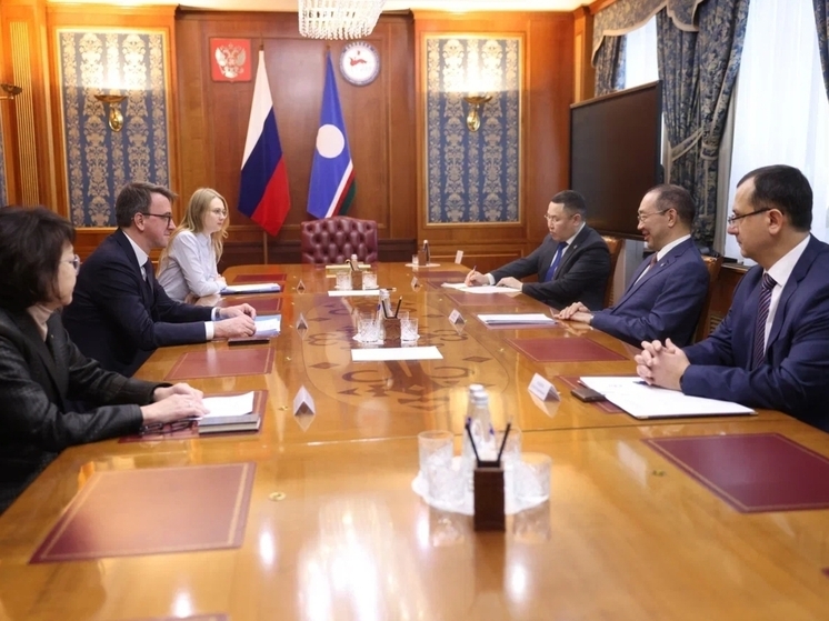 Айсен Николаев обсудил сотрудничество с МИД России в рамках Северного Форума