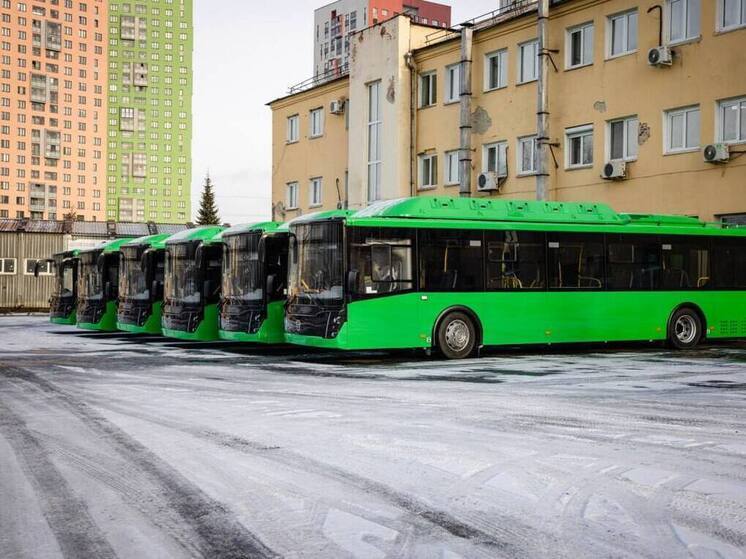 Новые автобусы выйдут на 51, 57 и 67 маршруты в Екатеринбурге