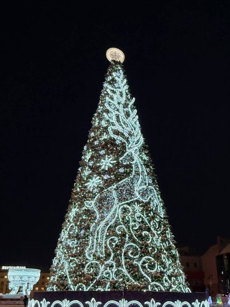 В Якутске в тестовом режиме зажгли огни на ёлке