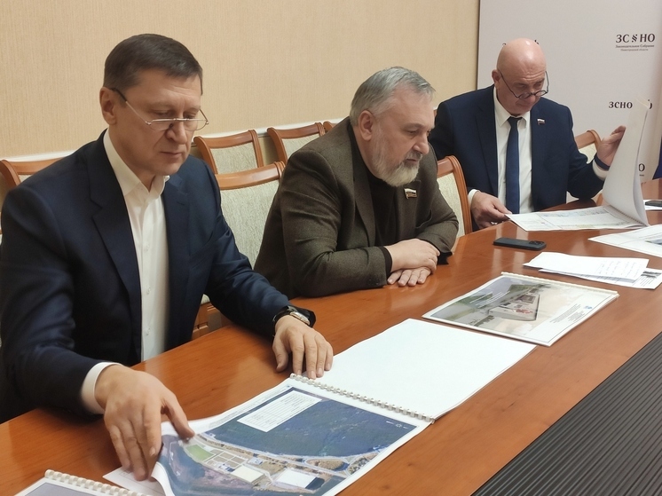 В Заксобрании обсудили развитие хоккея с мячом в регионе