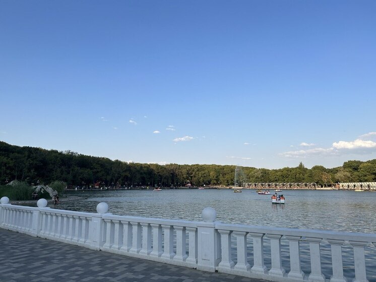 Лисы появились в курортной зоне Железноводска