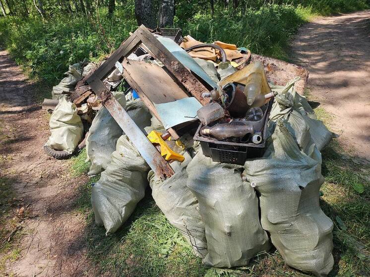 70% нижегородских нелегальных свалок находятся в Балахнинском округе