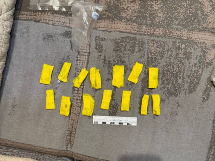 Свертки с наркотиками, патроны и несколько смартфонов нашли у мурманчанина дома