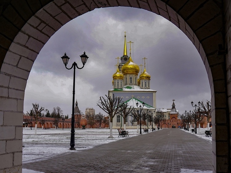 Охрана массовых мероприятий в центре Тулы обойдется в 14 млн рублей