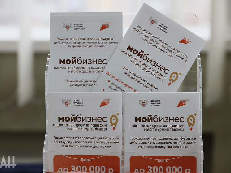 Центр «Мой бизнес» в ДНР окажет поддержку предпринимателям для выхода на рынок Никарагуа