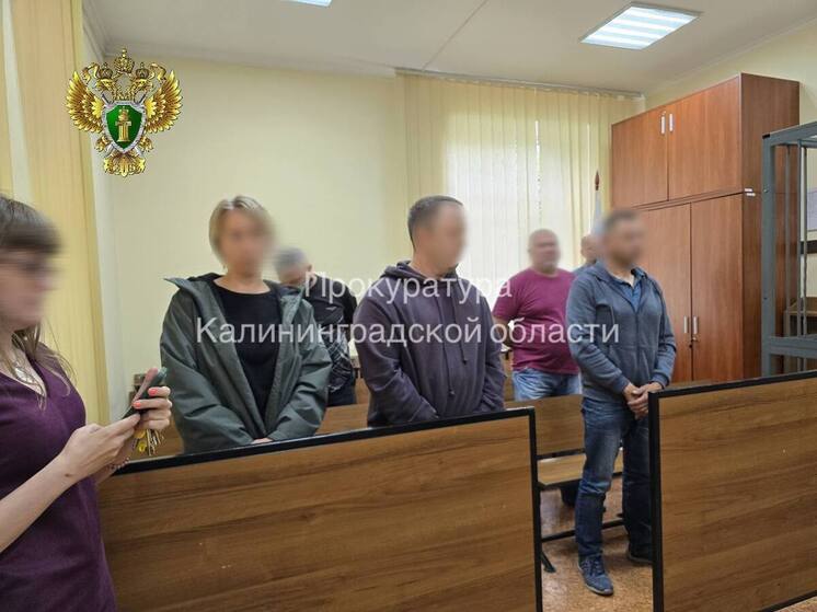 В Калининграде руководители сетевых компаний получили сроки за многомиллионный ущерб