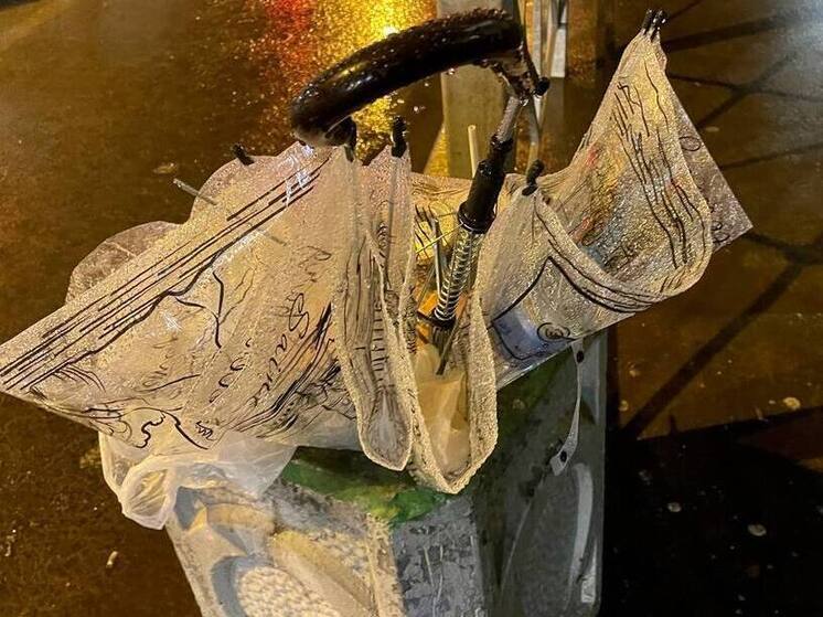 Петербуржцев предупредили об усилении порывов ветра до 15 м/с 28 ноября