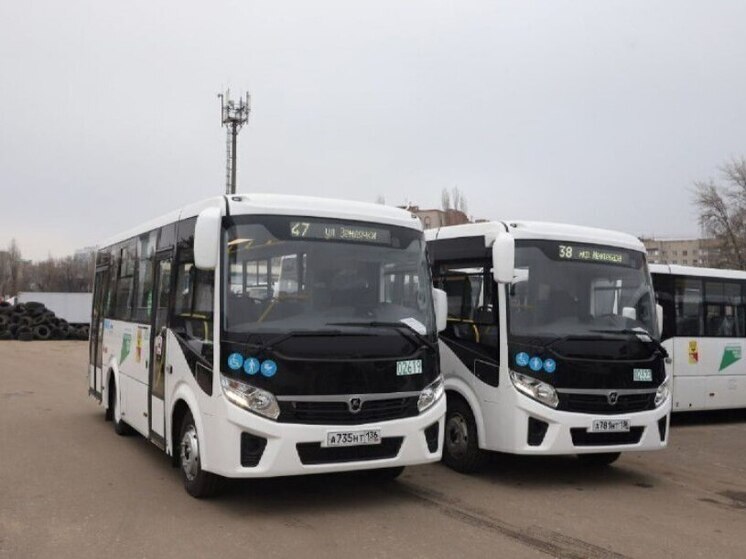 Воронежцам рассказали на каких маршрутах появятся новые автобусы