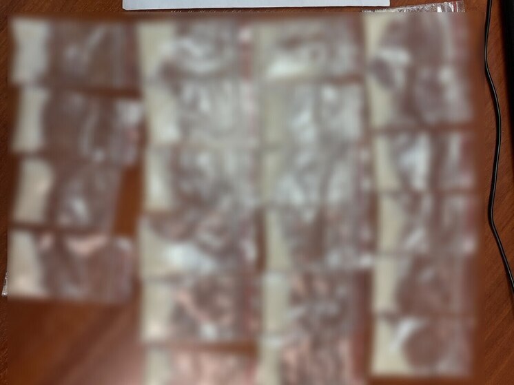 В Архангельской области задержали крупную партию наркотиков