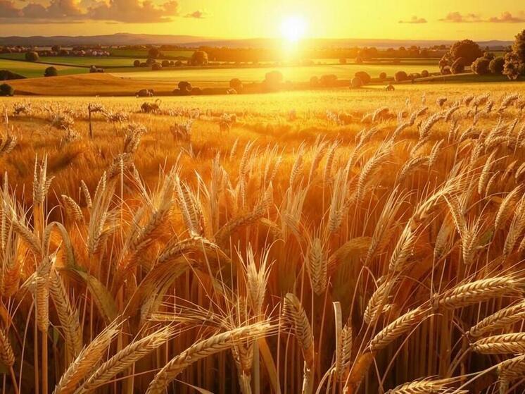 В Дагестане возобновили прием заявок на субсидии для развития горных территорий