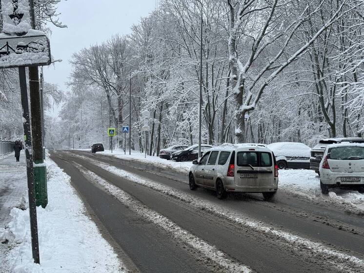 В Пензе закупают новый снегоуборщик за 156 тысяч рублей