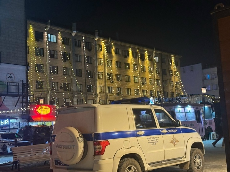 В Новосибирске задержали предполагаемого грабителя и наркомана