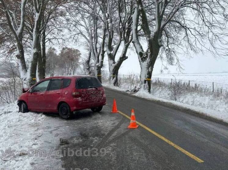 Автомобиль влетел в дерево на трассе под Гурьевском