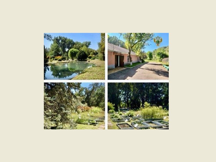 Прокуратура добилась приведения в порядок документов Ботанического сада в Пятигорске