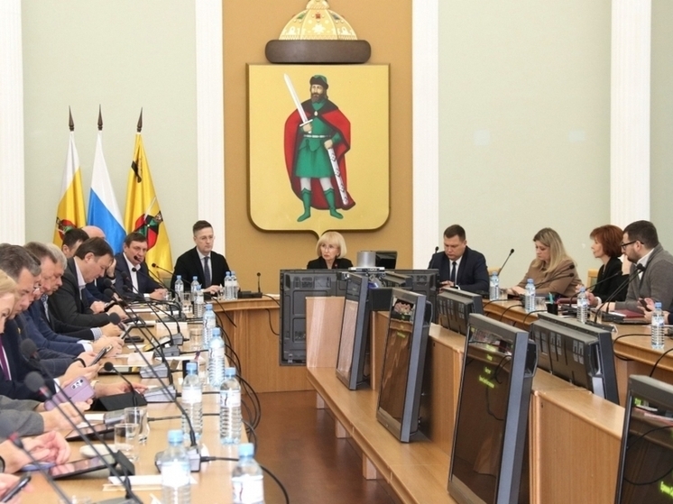 Рязгордума одобрила законопроект о штрафах за парковку на газонах