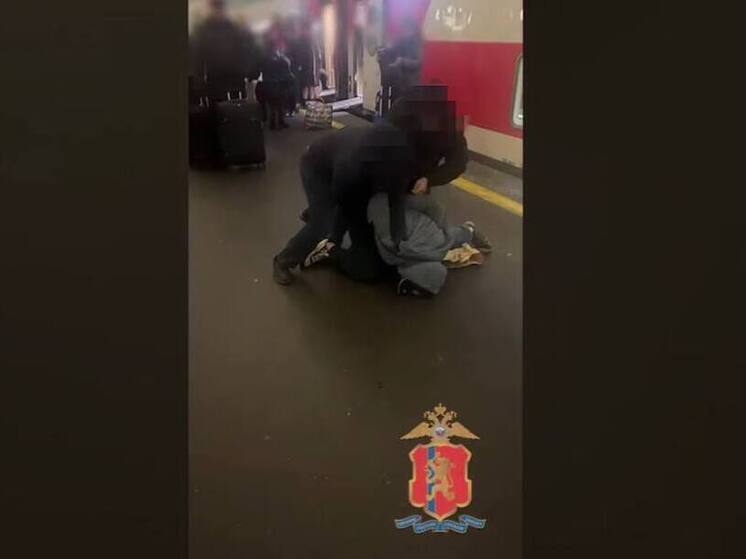 Петербургского курьера задержали за обман пенсионерки из Красноярского края