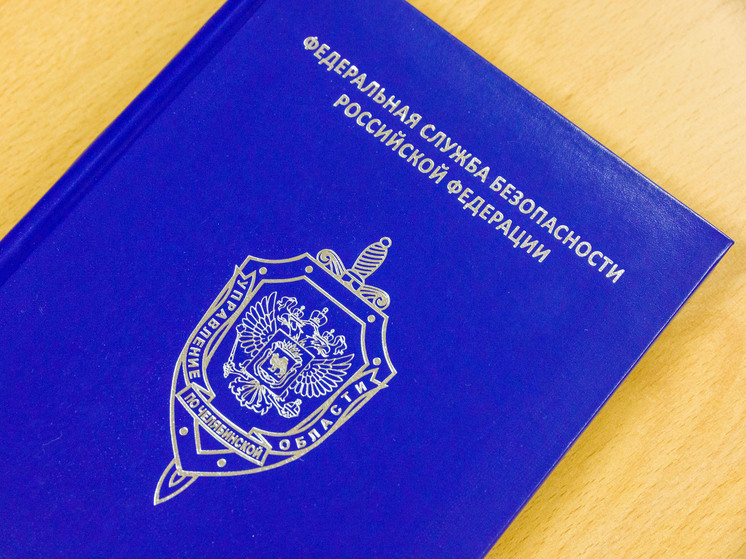 В Челябинске задержан создатель вредоносной программы