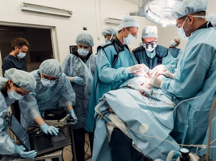 Новосибирские врачи первыми показали работу «кардиоклеток» в сердце свиньи