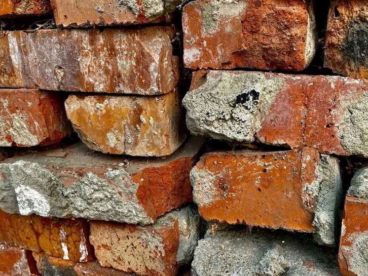 В Омской области меняют правила выдачи земельных участков многодетным семьям