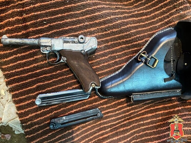 Житель Тверской области несколько лет выкапывал, восстанавливал и хранил военное оружие