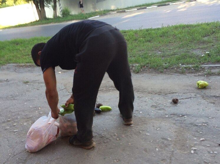 Саратовская область собрала рекордный урожай овощей