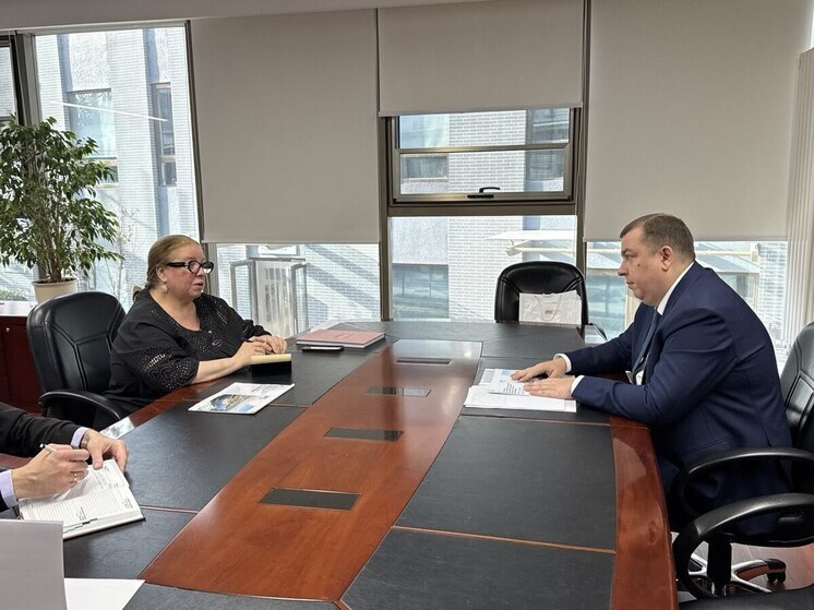 Пензенская область и «Русский дом» в Пекине обсудили новые векторы сотрудничества