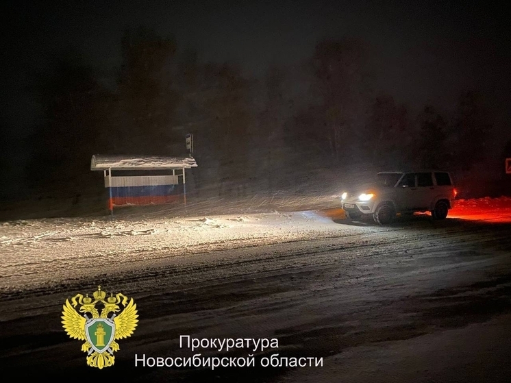 В Новосибирске попутчик ограбил водителя, который согласился его подвезти