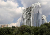 Аналитики провели социологический опрос 1200 жителей крупных городов, чтобы выяснить предпочтения при покупке недвижимости