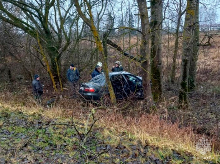 Брянские спасатели деблокировали пострадавшего в ДТП под Дубровкой