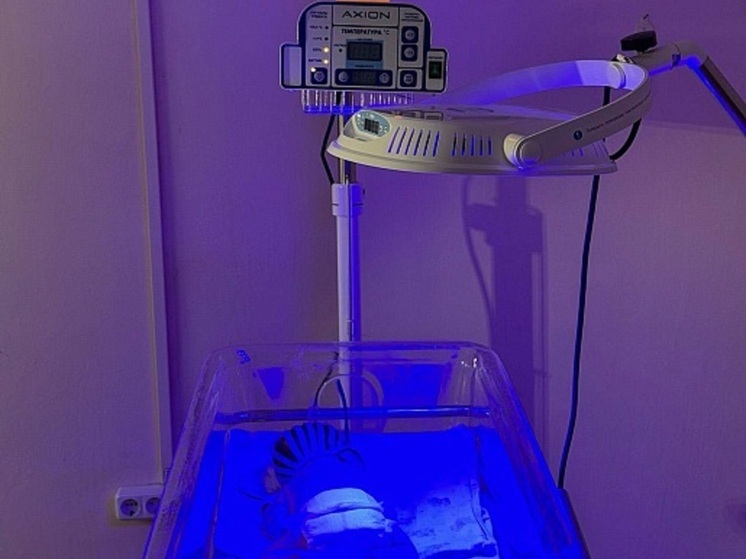 Более 130 единиц оборудования поступило в отделения для новорожденных Тулы