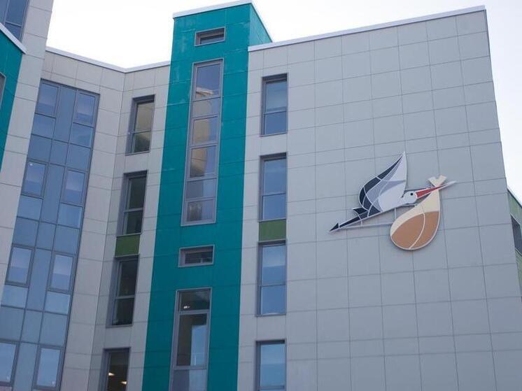 Псковички, родившие третьего и последующего ребенка, получат по 600 тысяч рублей